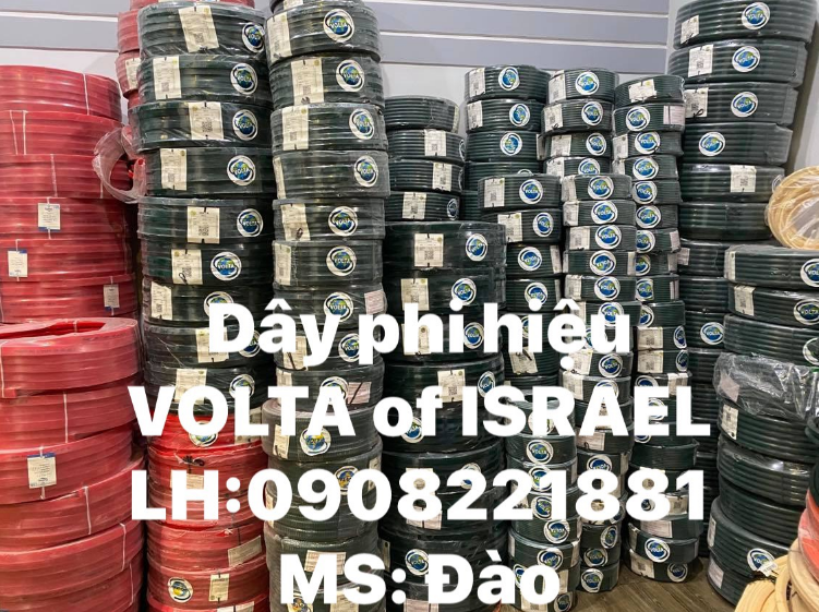 Dây phi hiệu VOLTA OF ISRAEL